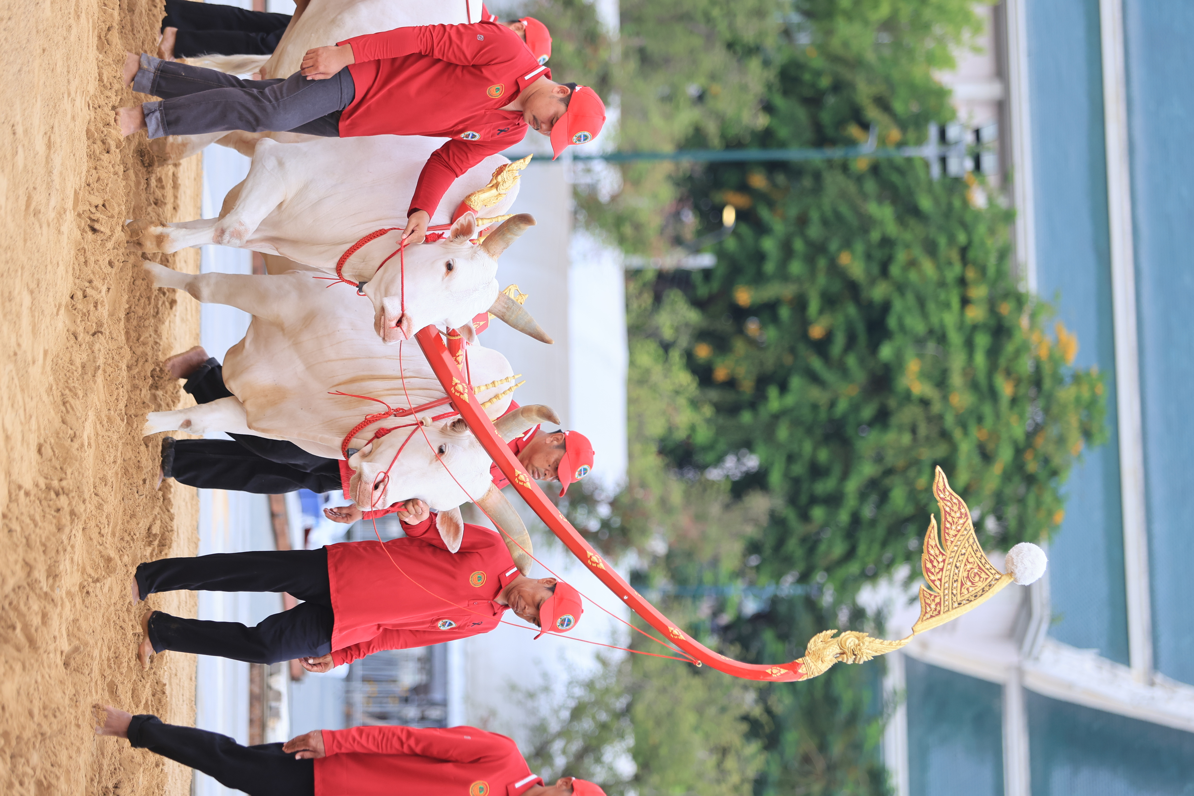 title - ส.ป.ก. ร่วมซ้อมย่อย ครั้งที่ 2 พระราชพิธีพืชมงคลจรดพระนังคัลแรกนาขวัญ ประจำปีพุทธศักราช 2569